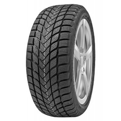 215/50R17 Delinte Winter WD6